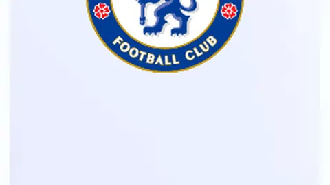 “中国足协第十二届会员大会二次会议圆满落幕”