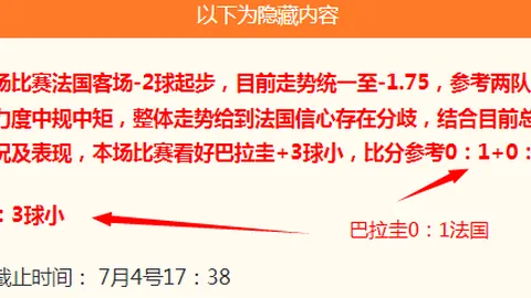 新西兰足球联赛：惠灵顿圣徒对决泰莱之鹰2026赛季前瞻指南